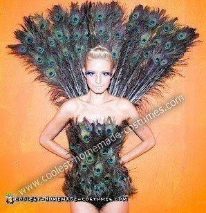 Disfraz casero de pavo real para Halloween