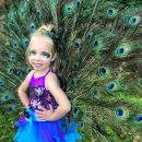 Hermoso disfraz de pavo real casero para niña. ¡Estoy orgullosa del pavo real!