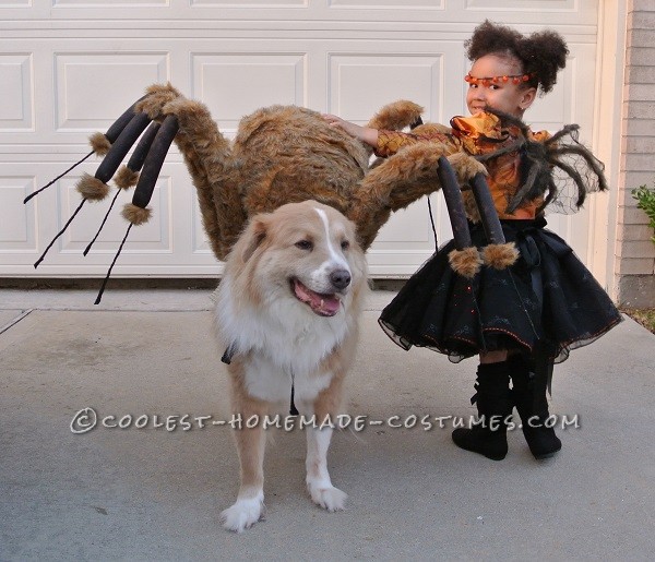 Coolest Homemade Costumes