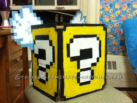 ¡Disfraz de Super Mario Flying Question Mark Block para un estudiante arrestado!