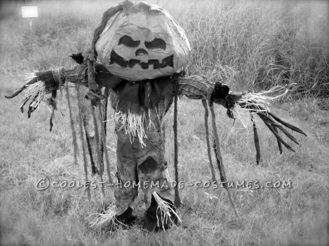 El disfraz de espantapájaros más genial con un huerto de calabazas.