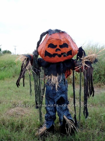 El disfraz de espantapájaros más genial con un huerto de calabazas.