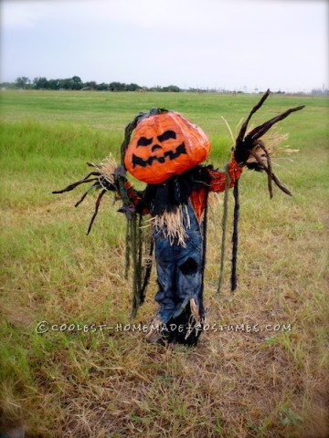 El disfraz de espantapájaros más genial con un huerto de calabazas.