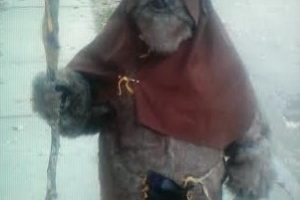 El mejor disfraz casero de ewok para adultos