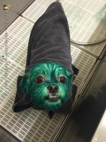 ¡Muriendo Missy Monstruo Verde! 
