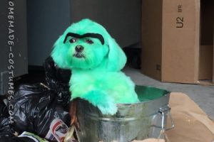 Doggie duplica el disfraz de Oscar Grumpy