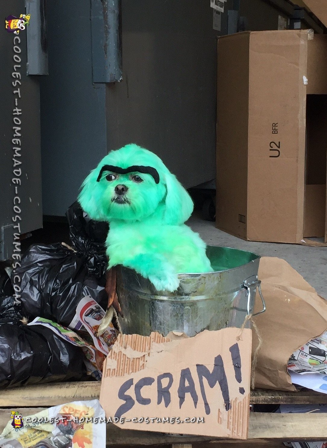 Coolest Homemade Costumes