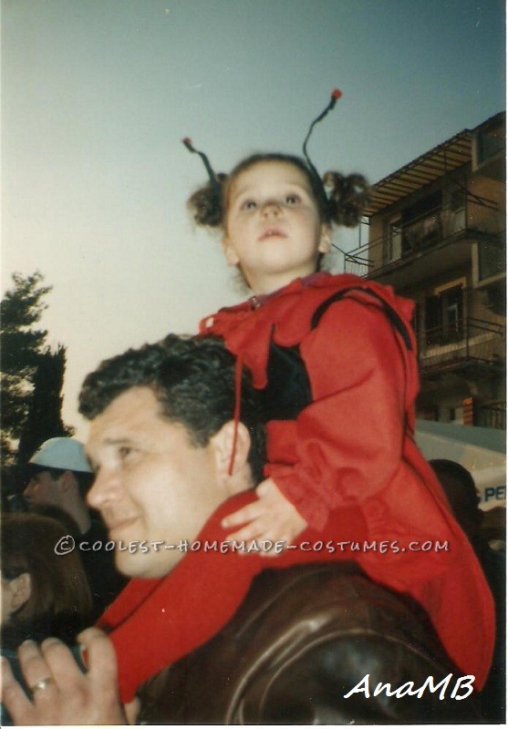 ¡La pequeña mariquita aún no puede volar!