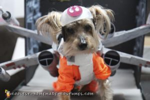 Impresionante disfraz de perro mascota al estilo de «Star Wars»