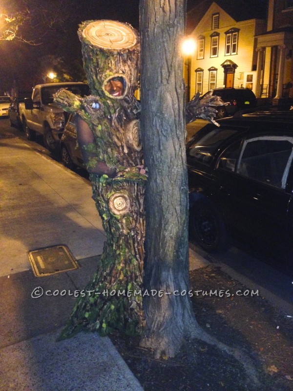 arbol abrazando arbol