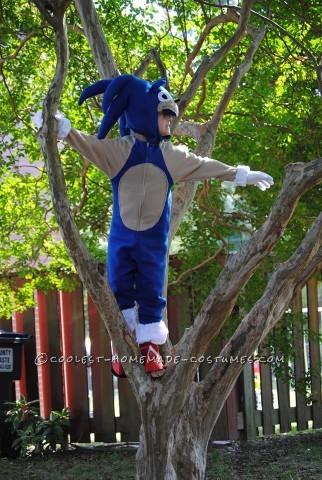 Genial disfraz casero de Sonic the Hedgehog