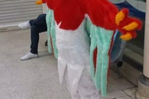 El hawlucha más genial de un disfraz de pokemon.