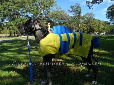 Disfraz de lenguado casero para perro