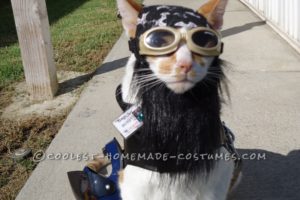 Disfraz de gato motorista único en su clase