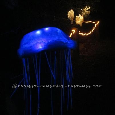 Mi hijo tuvo un viaje reciente en 2012 al acuario con su manada de baby scouts.  Fue un evento nocturno donde el rebaño participó en una recaudación de fondos.