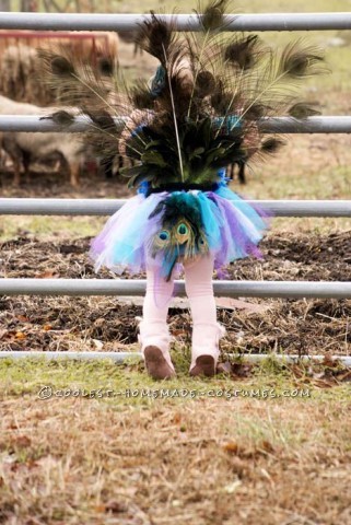 El disfraz casero de pavo real más tierno para bebé