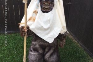 Disfraz de Ewok de Star Wars de Moon of Endor