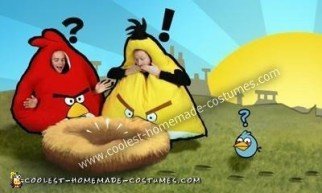 Disfraz casero de Angry Birds