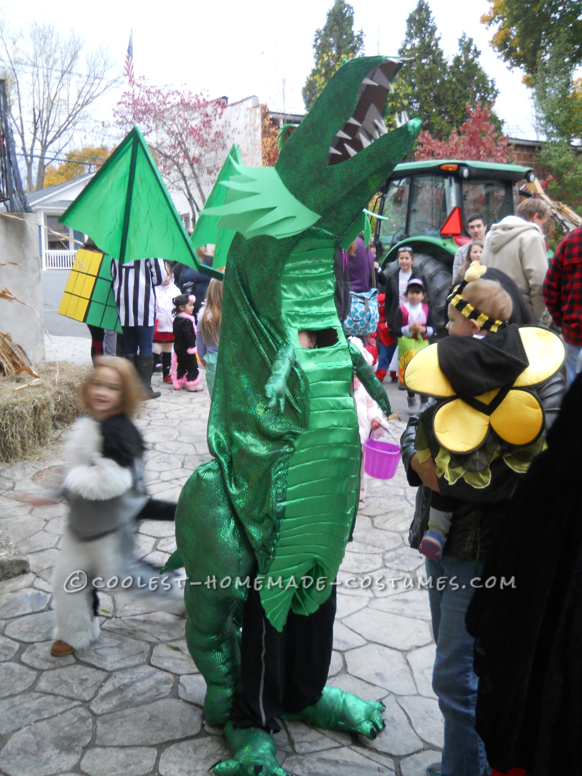 Coolest Homemade Costumes