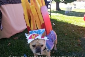 Cool Dog Costume: Frenchie Fry Fashion de Yogi