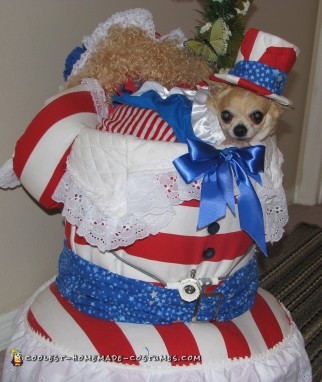 Disfraz casero para perro: Tequila Rose para presidente