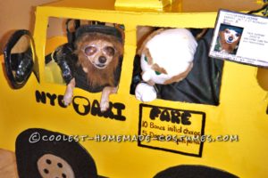 Disfraz de Chihuahua de Halloween: Taxista William de Nueva York