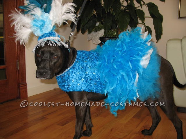Coolest Homemade Costumes