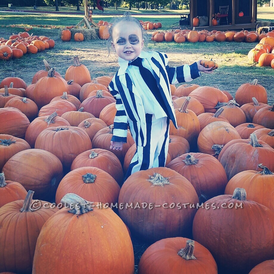 Coolest Homemade Costumes