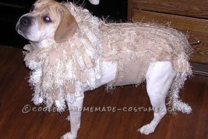 El disfraz de león casero más tierno para el acuario My Dog