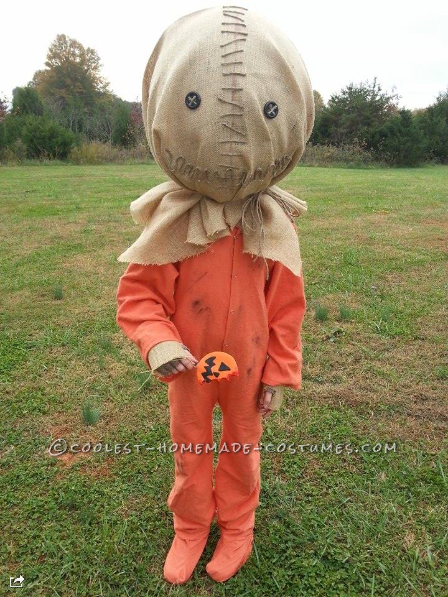 Coolest Homemade Costumes
