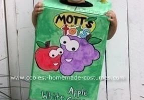 El mejor disfraz de caja de jugo
