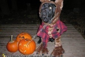 La mejor idea casera de disfraces de Halloween de Weredog