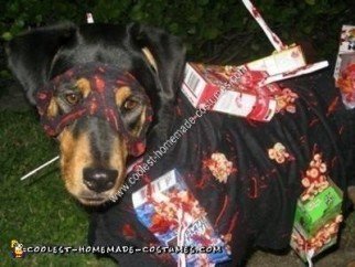 Idea de disfraz de perro asesino de granos hecho a mano