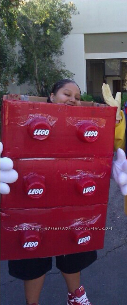 Coolest Homemade Costumes