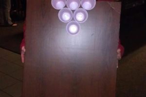 Traje de mesa de Beer Pong ganador de premios