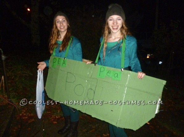 Coolest Homemade Costumes