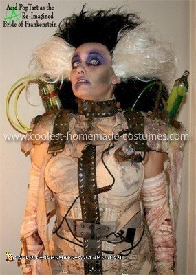 Coolest Homemade Costumes