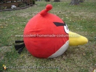 Disfraz casero de Angry Birds