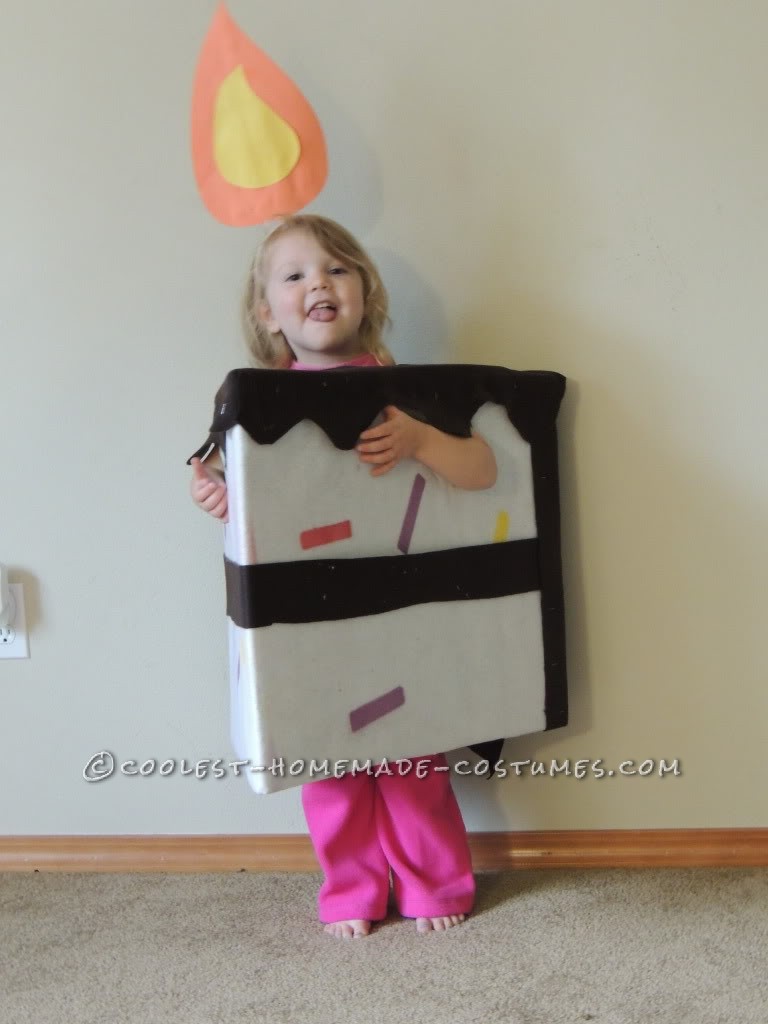 Coolest Homemade Costumes