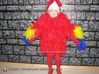 Pirata casero Pirata dama vestida como un par de loros