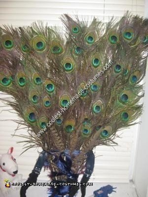 Idea de disfraz de Halloween de pavo real de bricolaje