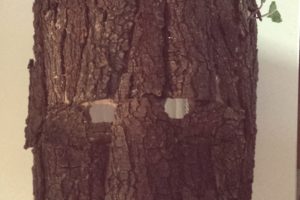 Cómo hacer una máscara de Groot por menos de $10