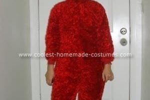 El disfraz casero más genial de Elmo