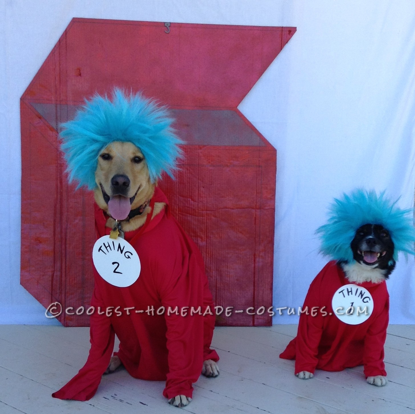 Coolest Homemade Costumes