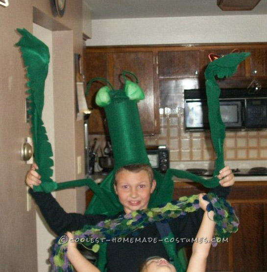 Coolest Homemade Costumes