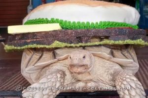 Disfraz de hamburguesa de hamburguesa de tortuga de cocción lenta