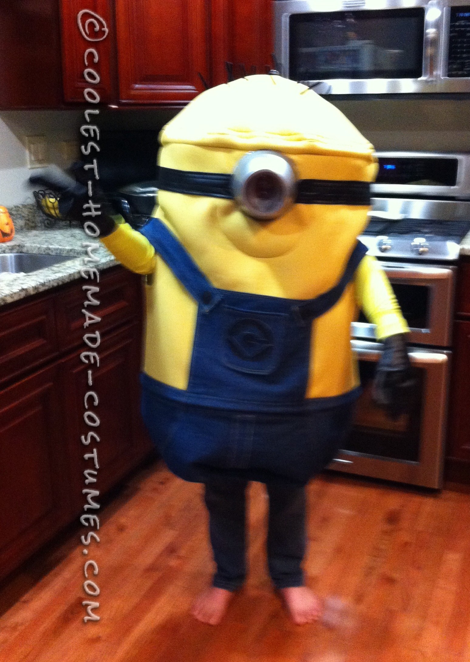 Coolest Homemade Costumes