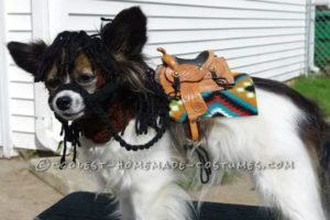 El disfraz de papillon más lindo de My Little Pony