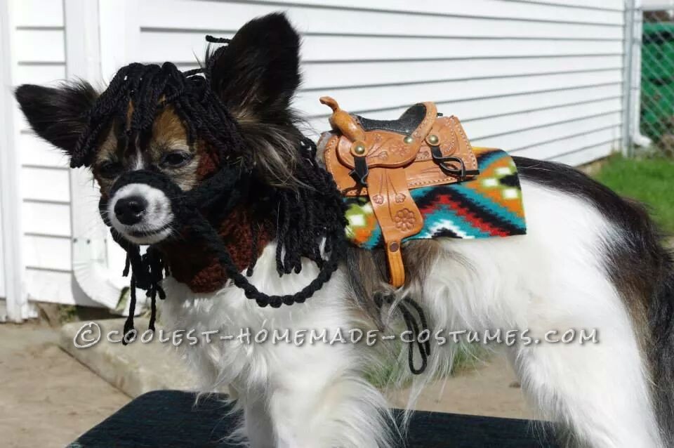 Coolest Homemade Costumes