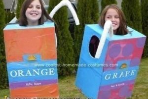 El disfraz de caja de jugo casero más genial